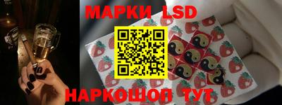 крисы Боровичи