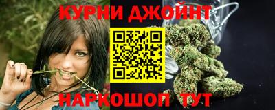 крисы Боровичи